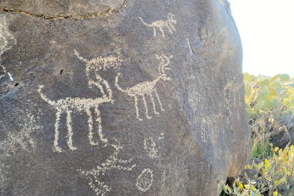 Chalk Canyon Petroglyphs